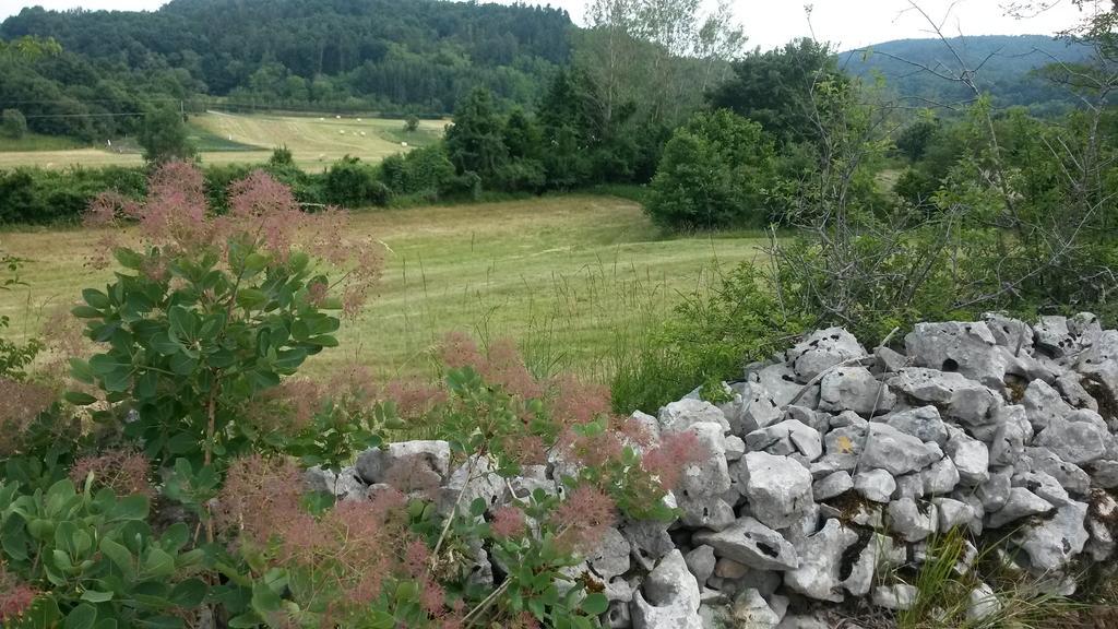 Homestead Vrbin Bivanje na kmetiji Divaca