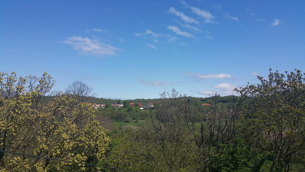 Homestead Vrbin * Divaca